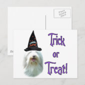 Bearded Collie Trick Briefkaart (Voorkant / Achterkant)