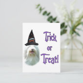 Bearded Collie Trick Briefkaart (Staand voorkant)