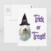 Bearded Collie Trick Briefkaart (Voorkant / Achterkant)