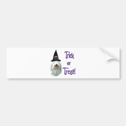 Bearded Collie Trick Bumpersticker (Voorkant)