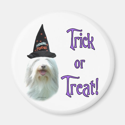 Bearded Collie Trick Magneet (Voorkant)