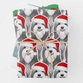 Bearded Collie Vakantie Schattige Hondenkerst Inpakpapier Vel (In situ)