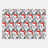 Bearded Collie Vakantie Schattige Hondenkerst Inpakpapier Vel (Voorkant)