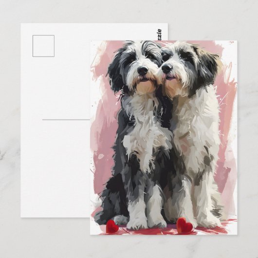 Bearded Collie Valentijnsdag Briefkaart (Voorkant / Achterkant)