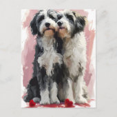 Bearded Collie Valentijnsdag Briefkaart (Voorkant)