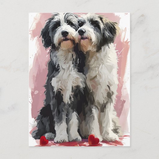 Bearded Collie Valentijnsdag Briefkaart (Voorkant)
