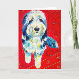Bearded Collie Wenskaart, enveloppen inbegrepen Kaart