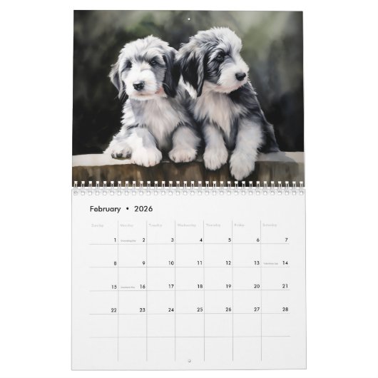 Bearded Collies Kalender, elk jaar Kalender (Feb 2026)