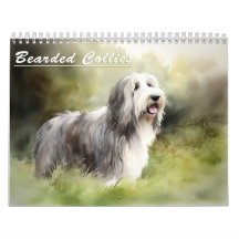 Bearded Collies Kalender, elk jaar