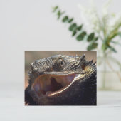 Bearded Dragon, Australië Briefkaart (Staand voorkant)