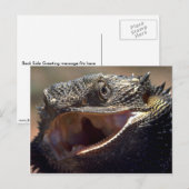 Bearded Dragon, Australië Briefkaart (Voorkant / Achterkant)