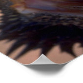 Bearded Dragon, Australië Poster (Hoek)