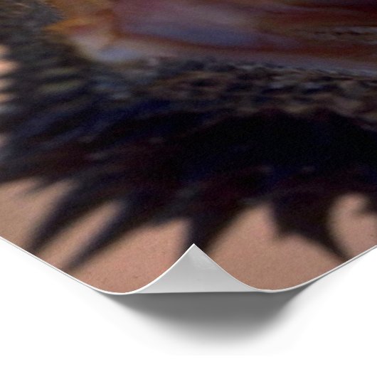 Bearded Dragon, Australië Poster (Hoek)