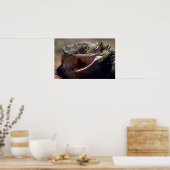 Bearded Dragon, Australië Poster (Keuken)