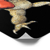 Bearded Dragon gekleed als een bokser Funny Boxing Poster (Hoek)