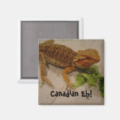 Bearded Dragon Humor Canadian Eh! Magneet (Voorkant / Achterkant)