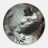 Bearded Dragon in een Top Hat Magnet (Voorkant)