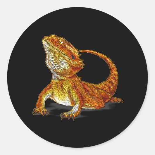 Bearded Dragon Lizard Terraristische Wildlife Anim Ronde Sticker (Voorkant)