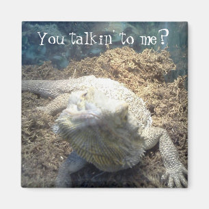 Bearded Dragon Magnet