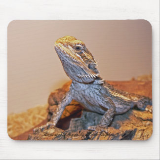 Bearded Dragon Mousepad Muismat