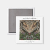 Bearded Dragon Promo Stuk Magneet (Voorkant / Achterkant)