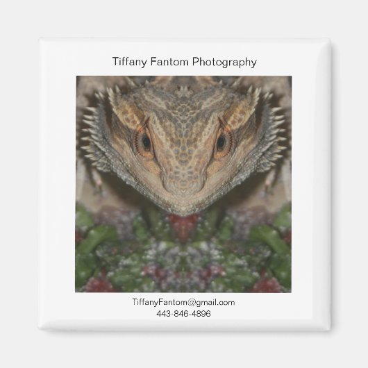 Bearded Dragon Promo Stuk Magneet (Voorkant)
