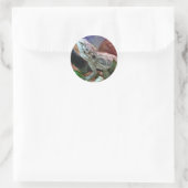 Bearded Dragon Stickers (Tas)