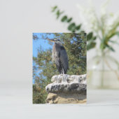 Bearded Heron Briefkaart (Staand voorkant)