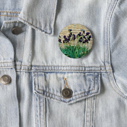 Bearded Iris Badge Ronde Button 5,7 Cm (In situ)