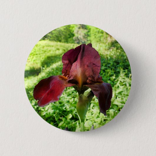 Bearded Iris Badge Ronde Button 5,7 Cm (Voorkant)