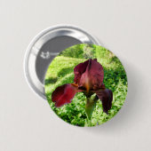 Bearded Iris Badge Ronde Button 5,7 Cm (Voorkant /achterkant)