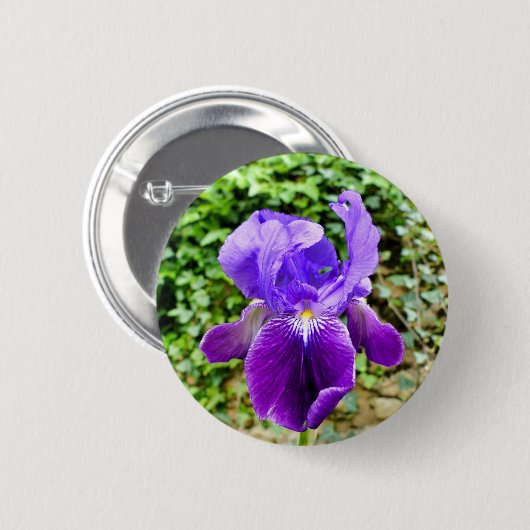 Bearded Iris Badge Ronde Button 5,7 Cm (Voorkant /achterkant)