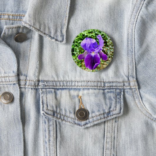Bearded Iris Badge Ronde Button 5,7 Cm (In situ)