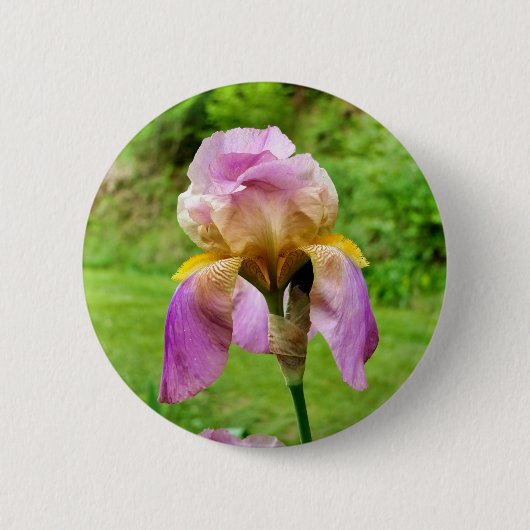 Bearded Iris Badge Ronde Button 5,7 Cm (Voorkant)
