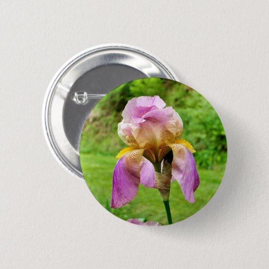 Bearded Iris Badge Ronde Button 5,7 Cm (Voorkant /achterkant)