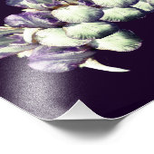 Bearded Iris Bloemen Boeket 8x10 Foto Afdruk (Hoek)