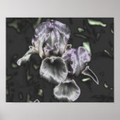 Bearded Iris Flower Pair Metallic Abstracte kunst Poster (Voorkant)