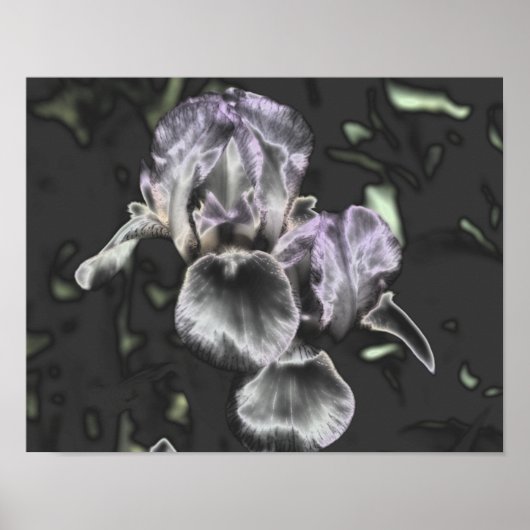 Bearded Iris Flower Pair Metallic Abstracte kunst Poster (Voorkant)