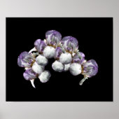 Bearded Iris Flowers Bouquet Poster (Voorkant)