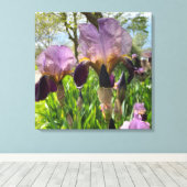 Bearded Iris Flowers Canvas Afdruk (Insitu (Houten vloer))