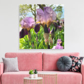 Bearded Iris Flowers Canvas Afdruk (Insitu (Woonkamer))