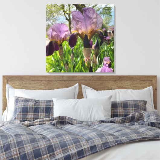 Bearded Iris Flowers Canvas Afdruk (Insitu (Slaapkamer))