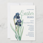 Bearded Iris Kaart (Voorkant)