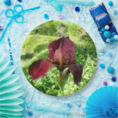 Bearded Iris Paper Bord (Feest)