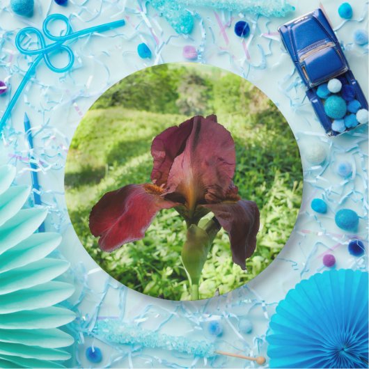 Bearded Iris Paper Bord (Feest)