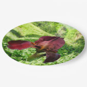 Bearded Iris Paper Bord (Gekanteld)