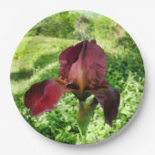 Bearded Iris Paper Bord (Voorkant)