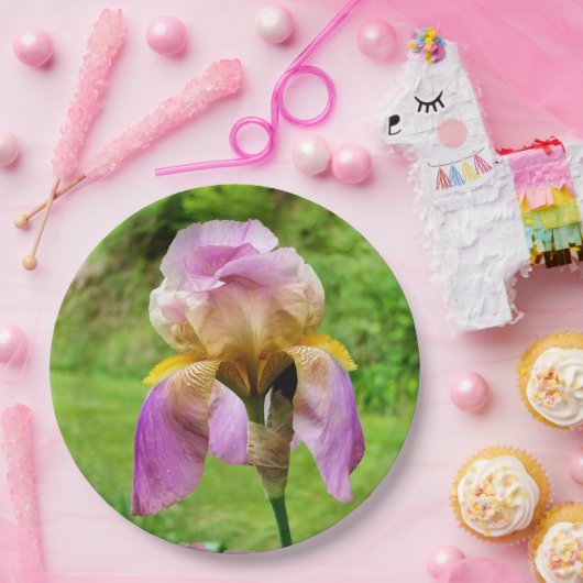 Bearded Iris Paper Bord (Feest)