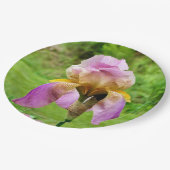 Bearded Iris Paper Bord (Gekanteld)