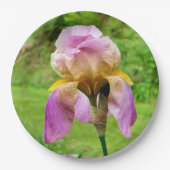 Bearded Iris Paper Bord (Voorkant)